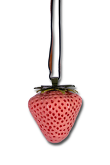 Very Berry (Pine)